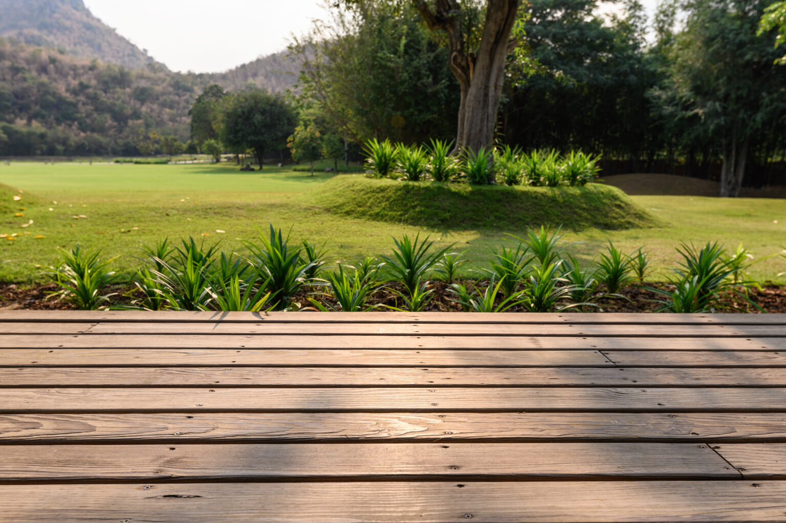 Wooden patio with garden on meadow at sunset background